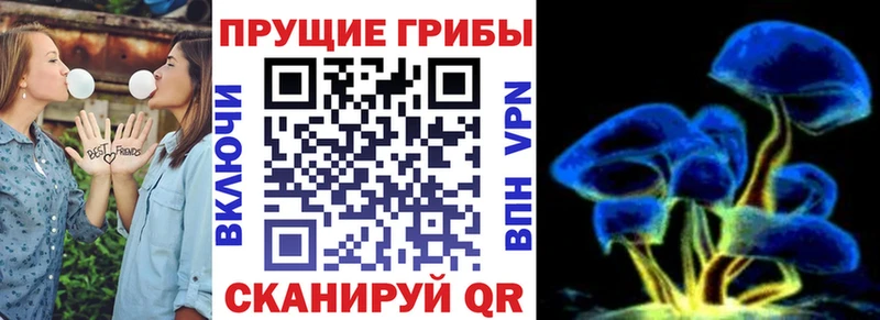 Псилоцибиновые грибы мицелий  наркота  darknet клад  Керчь 